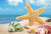 ΝΕΑ-ΑΝΑΚΟΙΝΩΣΕΙΣ